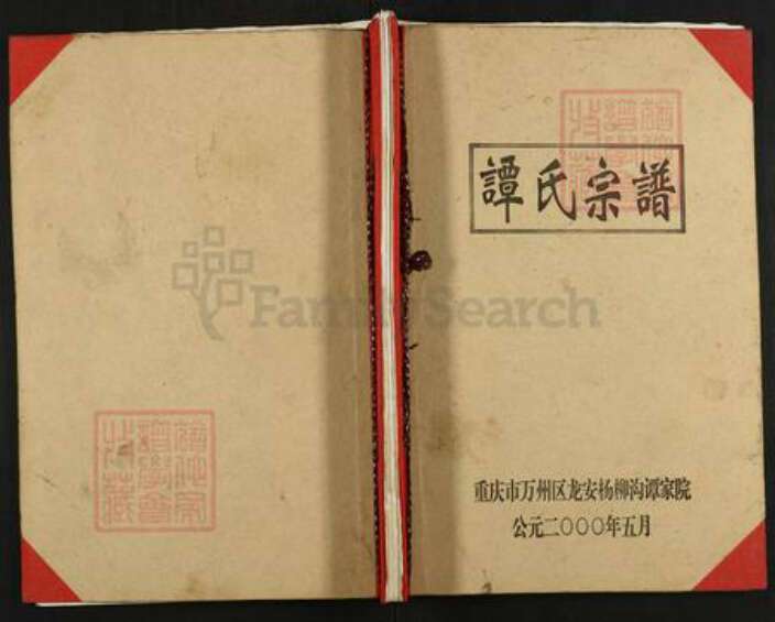 重庆市万州万县龙驹镇谭氏族谱-谭氏宗谱.pdf电子版缩略图