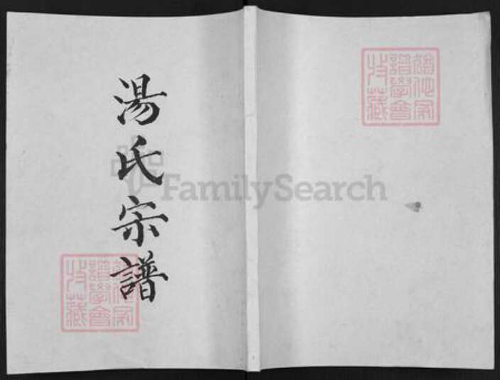 江苏省淮安市金湖县汤氏三柳堂族谱-汤氏宗谱.pdf电子版缩略图