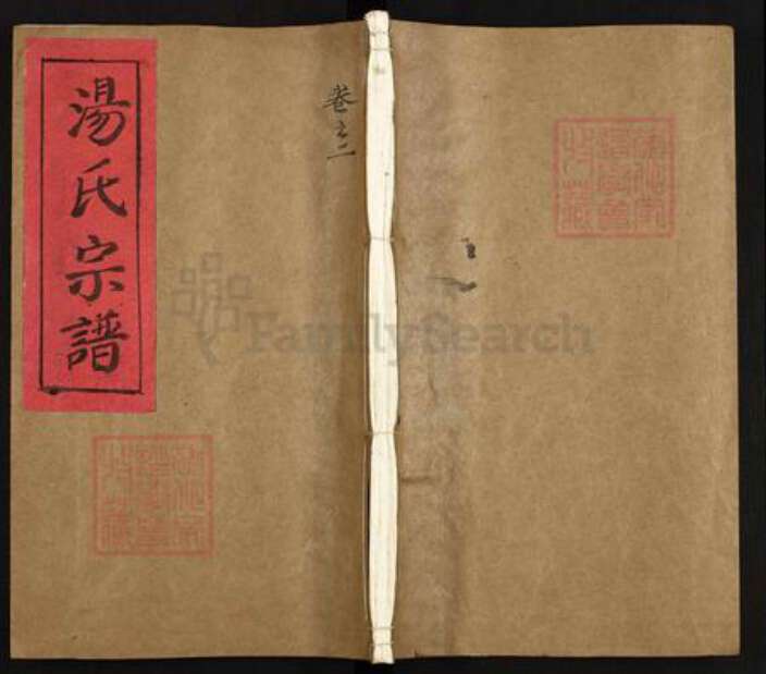 浙江省丽水市青田县汤氏族谱-汤氏宗谱.pdf电子版缩略图