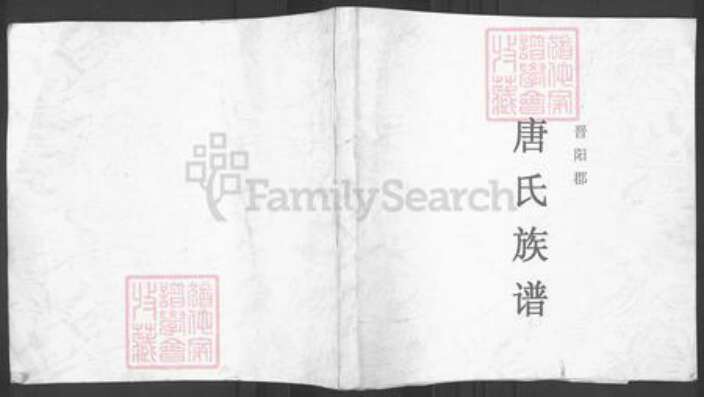 四川省遂宁市大英县唐氏族谱-唐氏族谱.pdf电子版缩略图