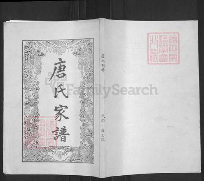 湖南省永州市零陵区唐氏族谱-唐氏家谱.pdf电子版缩略图