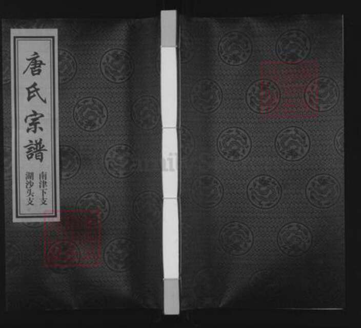 浙江省台州市玉环市坎门街道唐氏永思堂族谱-唐氏宗谱.南津下支.湖沙头支.pdf电子版缩略图