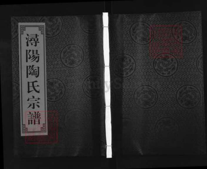 浙江省丽水市缙云县新建镇陶氏族谱-浔阳陶墅陶氏宗谱.pdf电子版缩略图