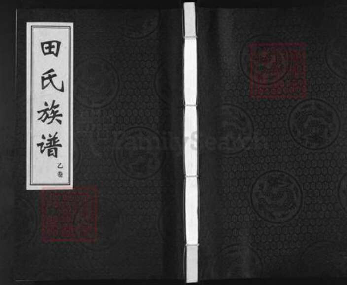 河北省沧州孟村回族自治县牛进庄乡田氏族谱-田氏族谱.pdf电子版缩略图