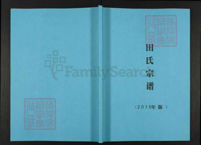 广东省梅州市梅江区长沙镇田氏雁门堂族谱-田氏宗谱.pdf电子版缩略图