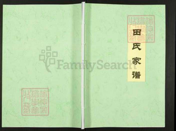 重庆市忠县田氏贫骄堂族谱-田氏家谱.pdf电子版缩略图