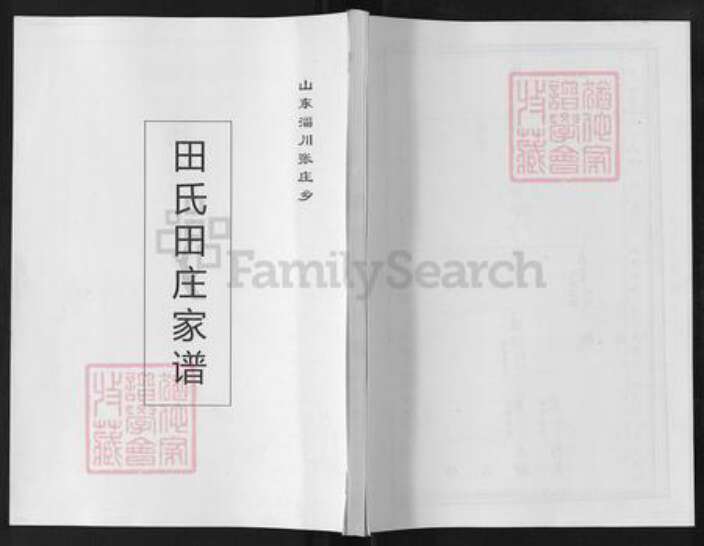 山东省淄博市淄川区田氏族谱-田氏田庄家谱.pdf电子版缩略图