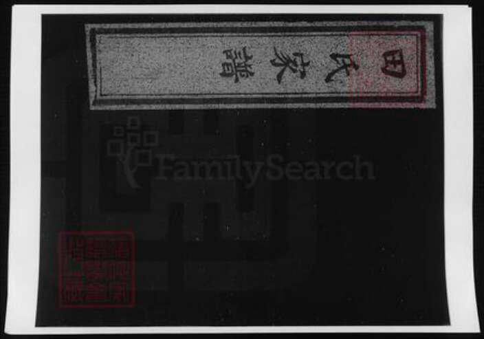 河南省开封市开封田氏族谱-田氏家谱.pdf电子版缩略图