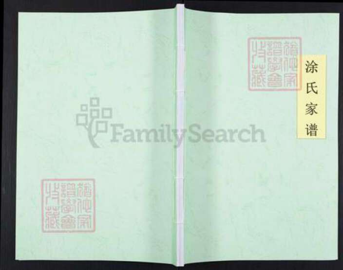 广东省梅州市大埔县青溪镇涂氏族谱-涂氏家谱.pdf电子版缩略图