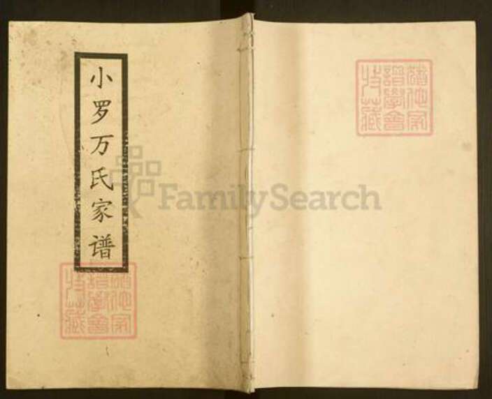 湖南省湘潭市湘乡市棋梓镇万氏孝里堂族谱-万氏希春房谱.pdf电子版缩略图