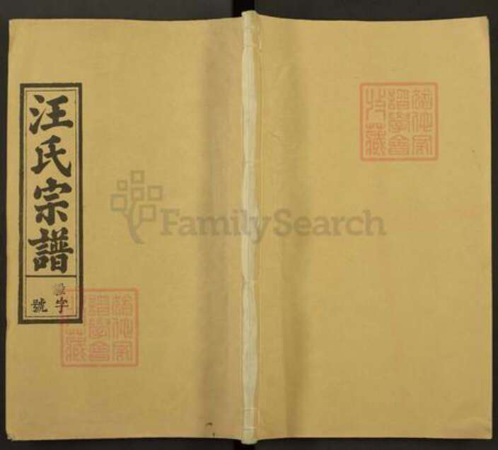 安徽省安庆市怀宁县汪氏敦睦堂族谱-汪氏宗谱.pdf电子版缩略图