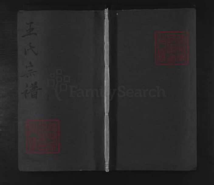 浙江省衢州常山县王氏族谱-王氏宗谱 [卷4].pdf电子版缩略图