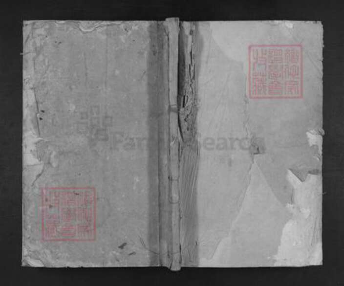 山东省临沂市临沂市王氏族谱-琅琊王氏宗谱.pdf电子版缩略图