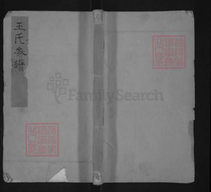 河北省沧州东光县王氏族谱-王氏家谱.pdf电子版缩略图