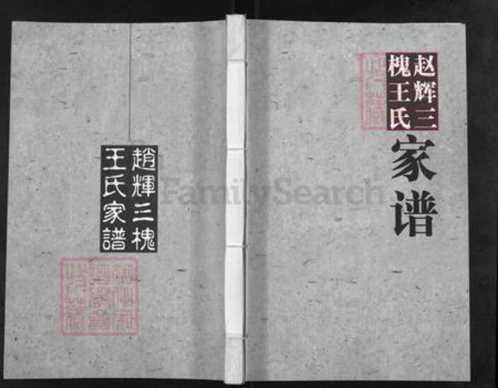 河南省开封市通许县王氏族谱-赵辉三槐王氏家谱.pdf电子版缩略图