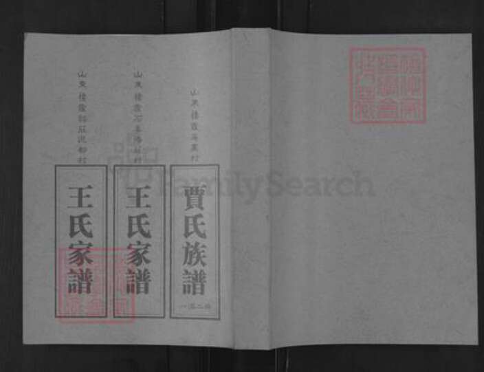 山东省烟台市栖霞市王氏族谱-山东栖霞邵庄泥都村王世家谱.pdf电子版缩略图