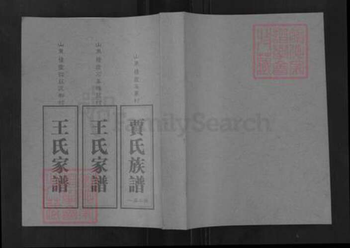 山东省烟台市栖霞市王氏族谱-王氏家谱.pdf电子版缩略图