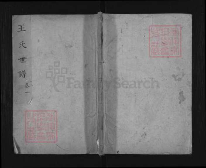 山东省滨州市惠民县李庄镇王氏族谱-王氏世谱.pdf电子版缩略图