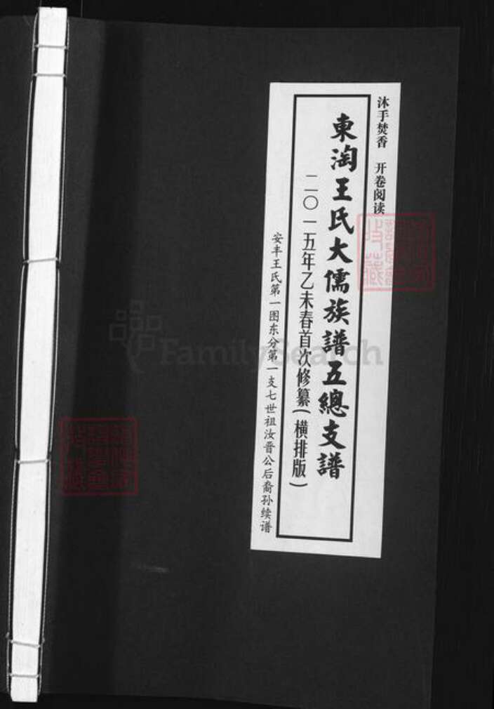 江苏省盐城市东台市唐洋镇王氏三贤堂族谱-东淘王氏大儒族谱五总支谱.pdf电子版缩略图