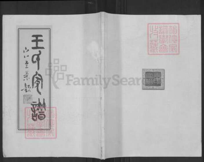 山东省淄博市沂源县中庄镇王氏族谱-王氏家谱.pdf电子版缩略图