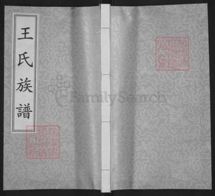 山西省太原市王氏三槐堂族谱-王氏族谱.pdf电子版缩略图