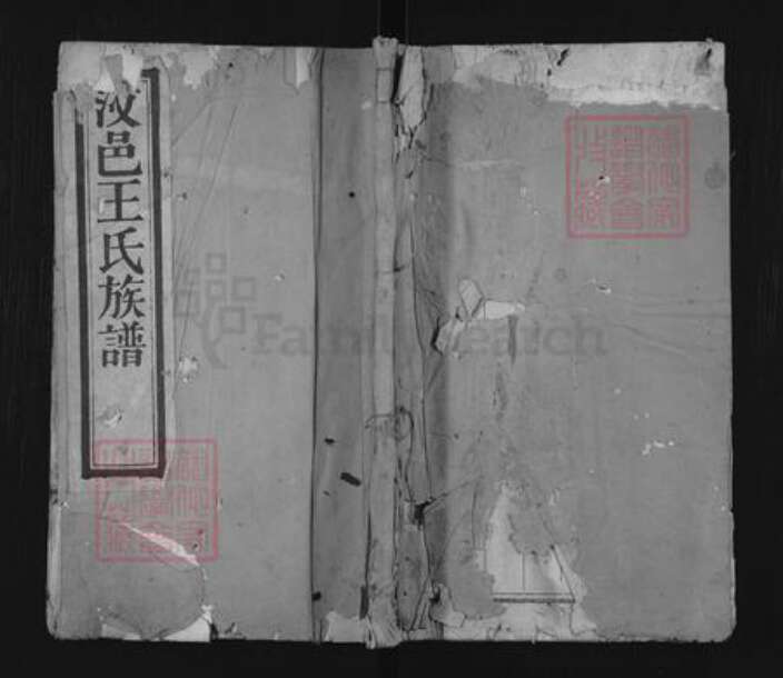 山东省济宁市汶上县王氏族谱-汶邑王氏族谱.pdf电子版缩略图