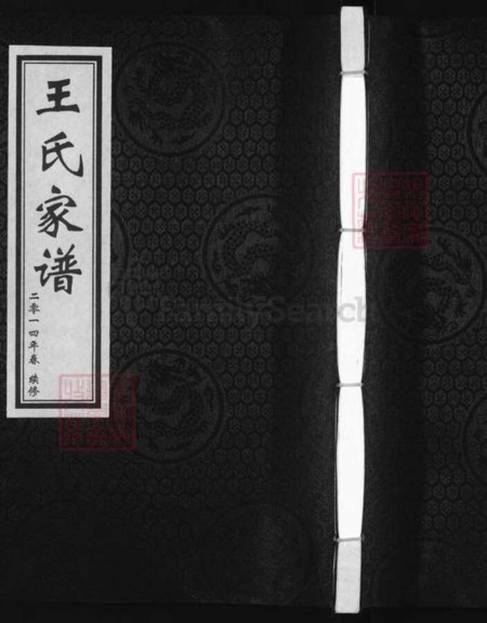 河北省沧州黄骅市旧城镇王氏族谱-王氏家谱.pdf电子版缩略图