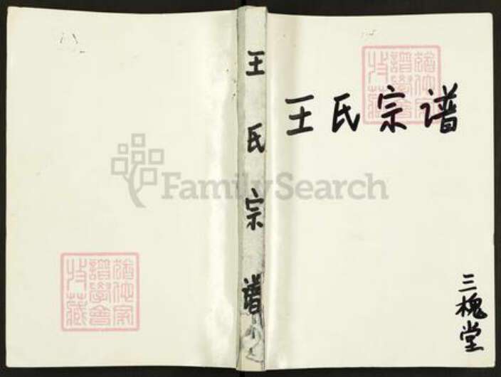 江苏省盐城市亭湖区王氏三槐堂族谱-王氏宗谱.pdf电子版缩略图