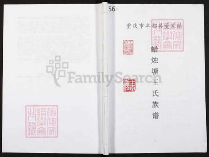 重庆市酆都县王氏三槐堂族谱-重庆市丰都县董家镇蜡烛塘王氏族谱.pdf电子版缩略图