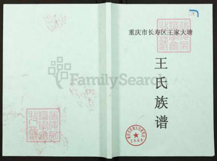 重庆市长寿区双龙镇王氏族谱-王氏族谱.pdf电子版缩略图