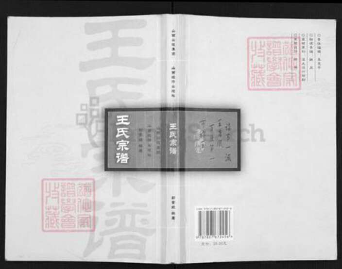 山西省太原市王氏族谱-王氏宗谱.pdf电子版缩略图