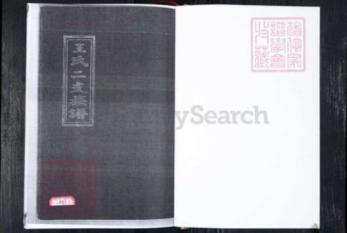 山东省青岛市即墨区王氏族谱-王氏二支谱.pdf电子版缩略图