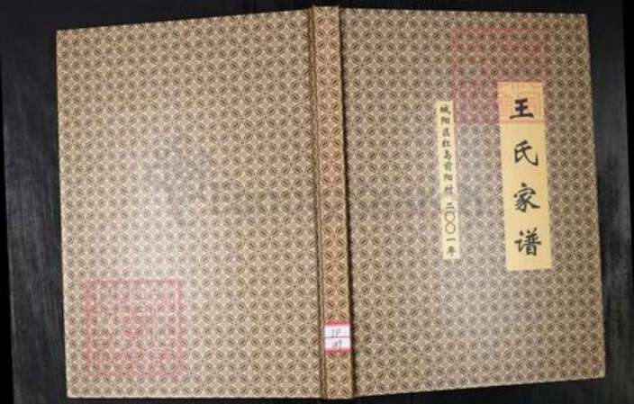 山东省青岛市城阳区王氏族谱-王氏家谱.城阳区红岛前阳村.pdf电子版缩略图