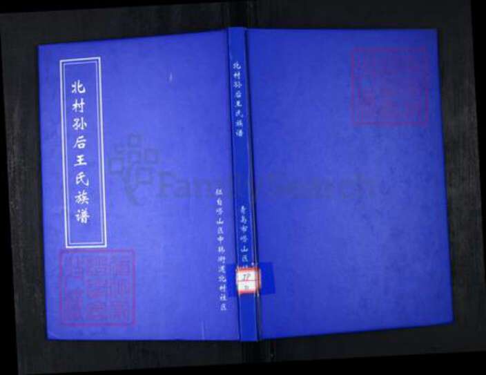 山东省青岛市崂山区王氏族谱-北村孙后王氏族谱.pdf电子版缩略图