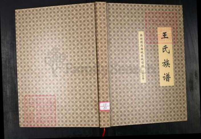山东省青岛市王氏族谱-王氏族谱.韩村荆沟西城东城信村.pdf电子版缩略图