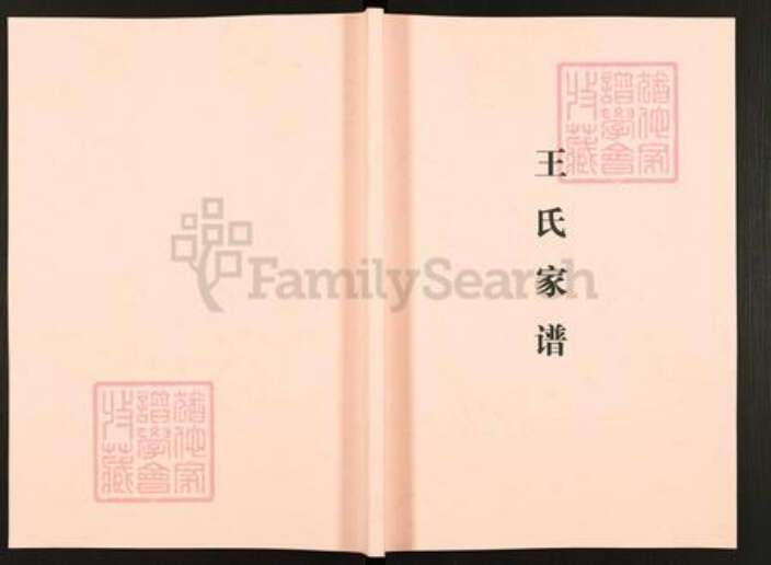 云南省昭通市镇雄县乌峰王氏族谱-王氏家谱.pdf电子版缩略图