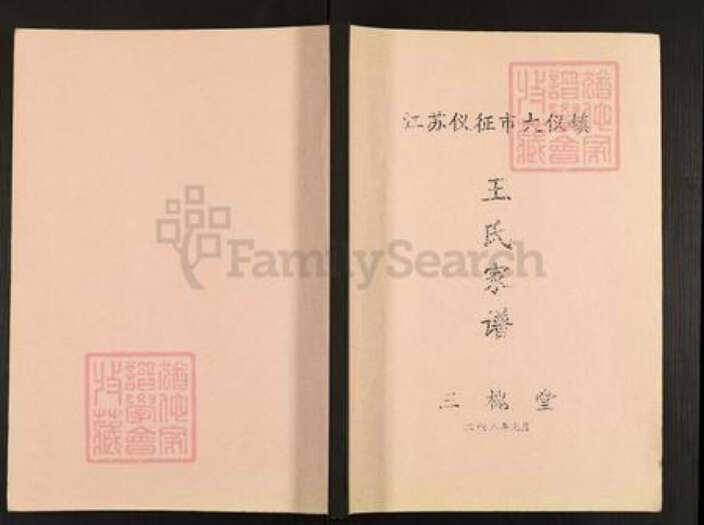 江苏省扬州市仪征市大仪镇王氏三槐堂族谱-王氏家谱.pdf电子版缩略图