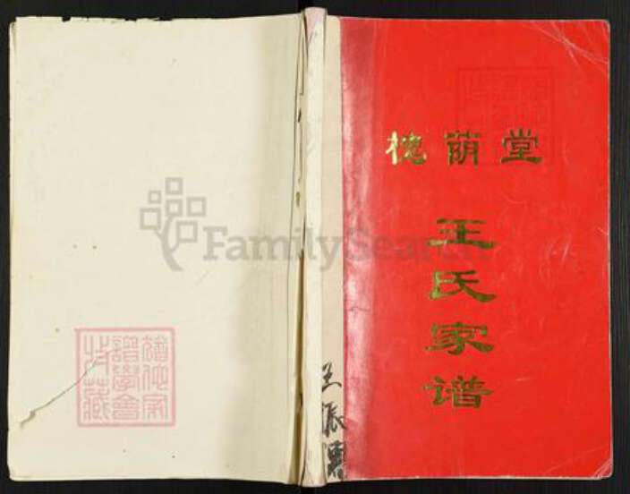 江苏省扬州市高邮市界首镇王氏槐荫堂族谱-王氏家谱.pdf电子版缩略图