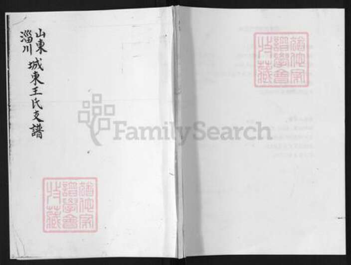 山东省淄博市淄川区王氏族谱-山东淄川城东王氏支谱.pdf电子版缩略图