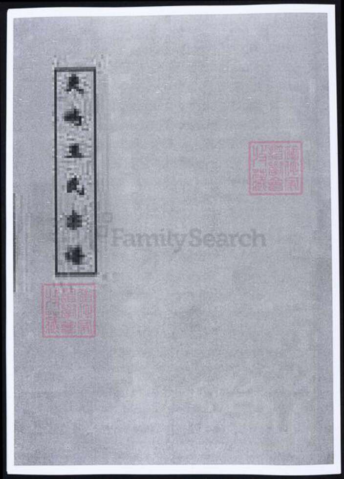 浙江省台州市温岭市王氏族谱-夹屿王氏宗谱.pdf电子版缩略图