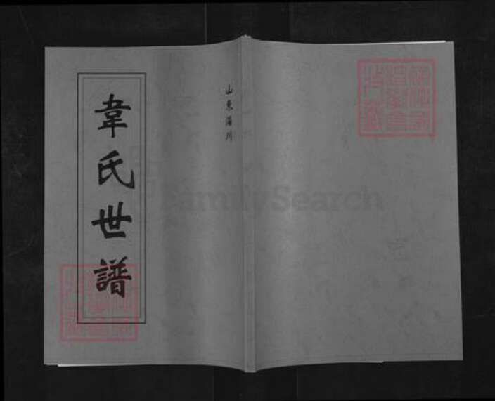 山东省淄博市淄川区韦氏族谱-韦氏世谱.pdf电子版缩略图