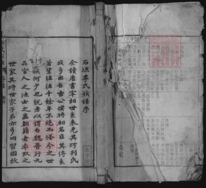 安徽省黄山市黟县美溪乡李氏族谱-李氏家乘.pdf电子版缩略图