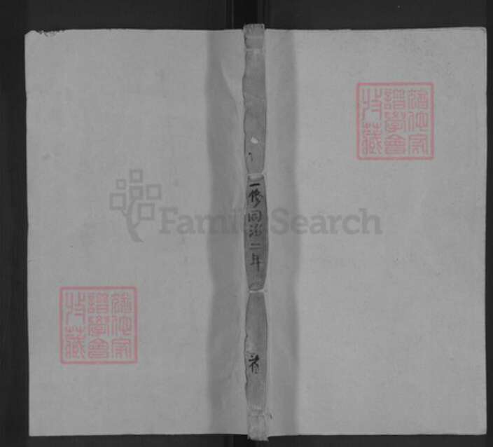 湖南省邵阳市洞口县杨林镇李氏族谱-李氏族谱.pdf电子版缩略图