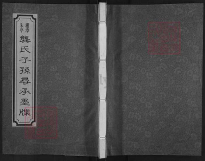 湖南省株洲市渌口区朱亭镇龚氏光辉堂族谱-湘潭朱亭龚氏子孙寻承墨牒.pdf电子版缩略图