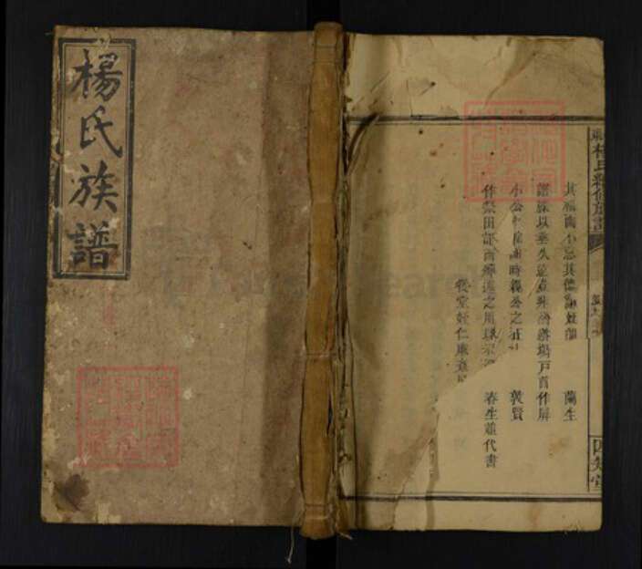 湖南省邵阳市邵东杨氏四知堂族谱-邵东杨氏续修族谱.pdf电子版缩略图