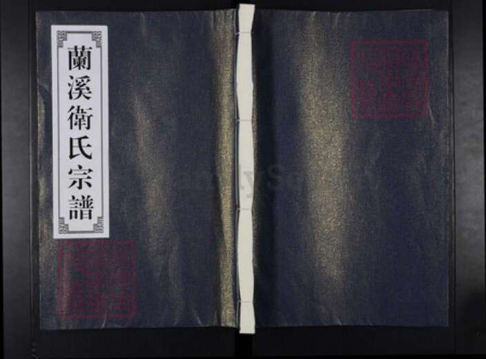 浙江省金华市兰溪市卫氏族谱-兰溪卫氏宗谱.pdf电子版缩略图