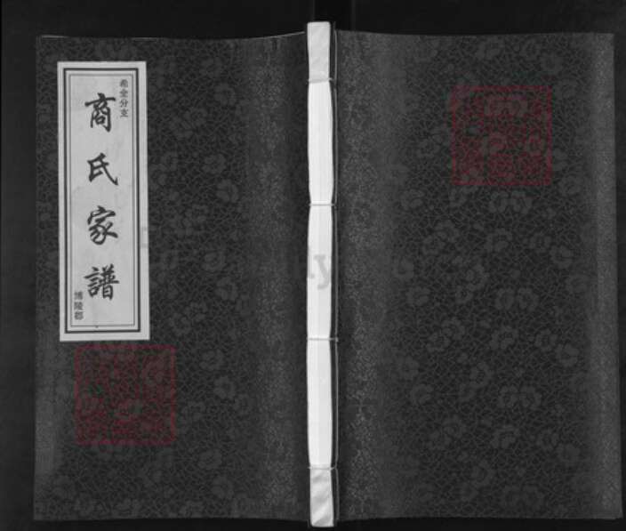 山东省聊城市茌平区菜屯镇山东省聊城市茌平区商氏族谱-商氏家谱.希全分支.pdf电子版缩略图