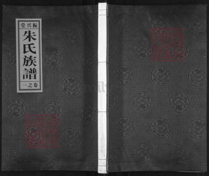 江苏省扬州市江都区大桥镇朱氏振兴堂族谱-朱氏族谱.pdf电子版缩略图