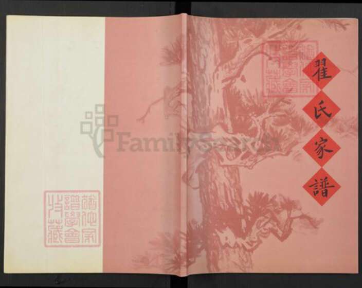 河北省翟氏族谱-翟氏家谱.pdf电子版缩略图