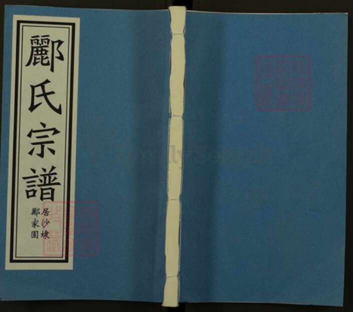 浙江省绍兴诸暨市诸暨郦氏族谱-浣江郦氏宗谱（居沙埭郦家园）.pdf电子版缩略图